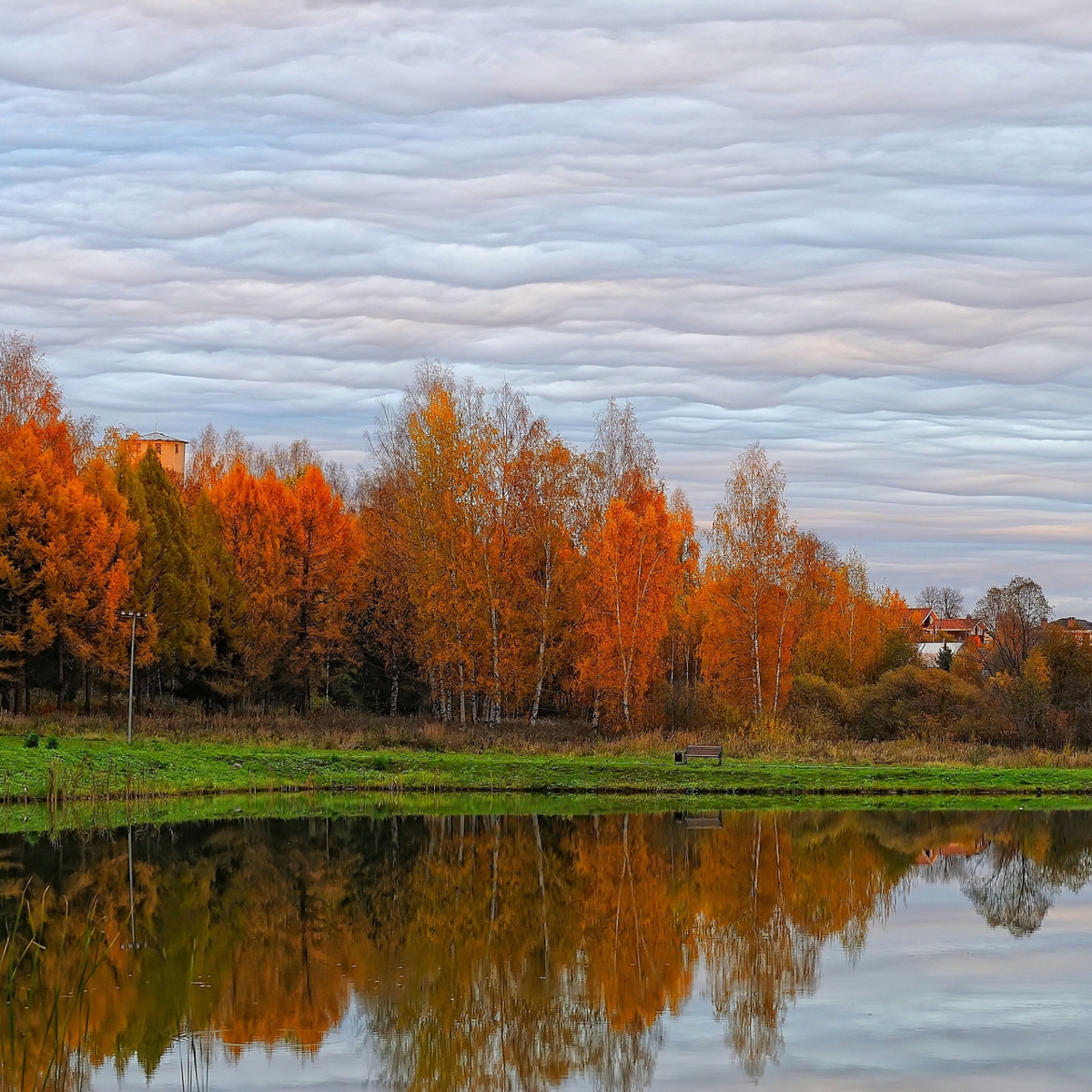 Sunset Nature